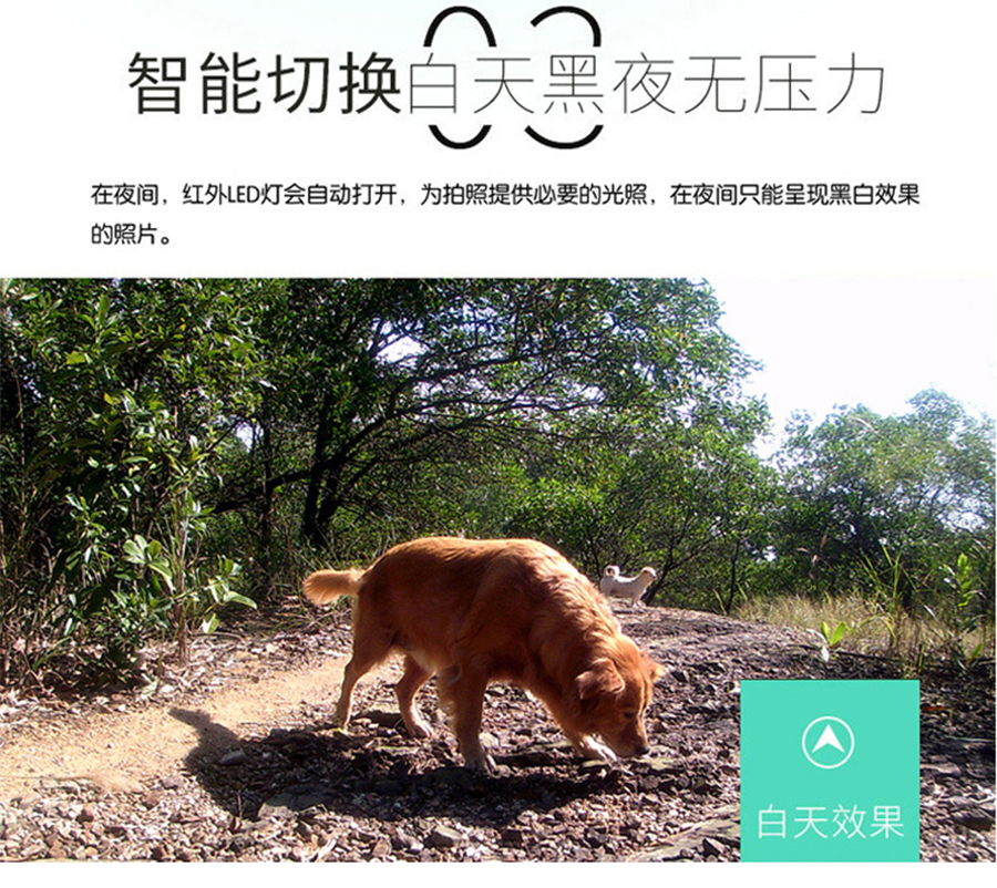 未标�?1_12.jpg
