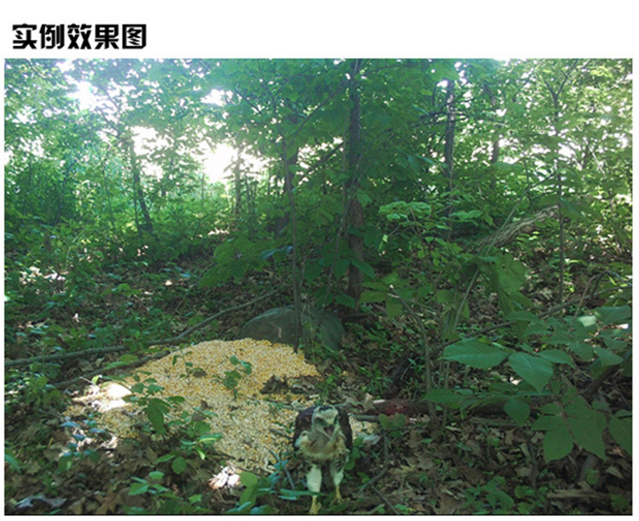未标�?1_16.jpg