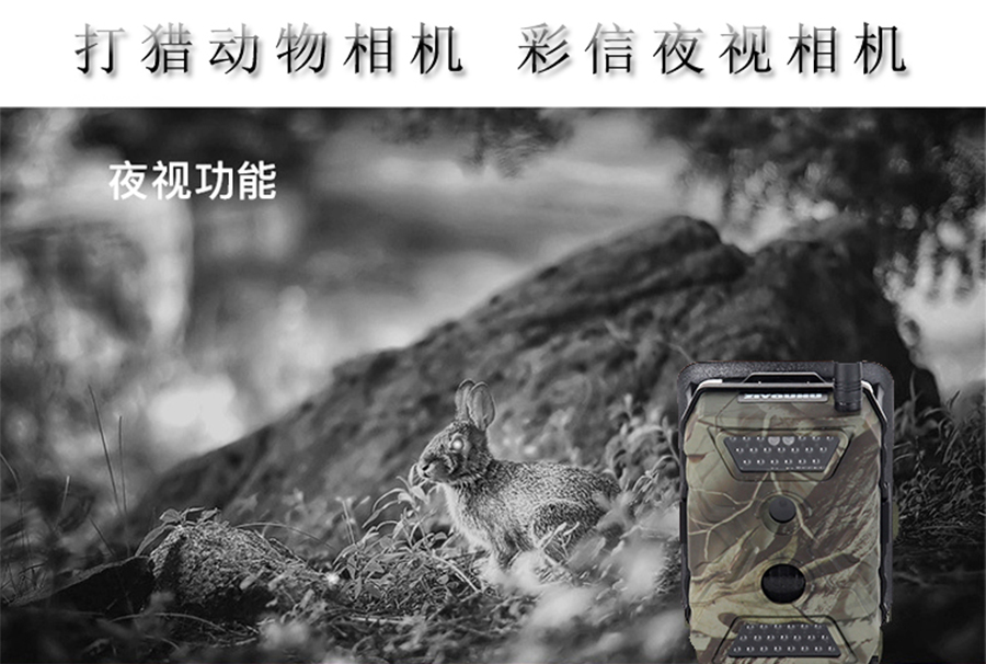 未标�?1_01.jpg