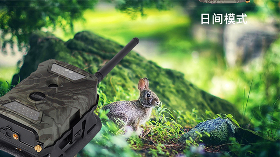 未标�?1_02.jpg