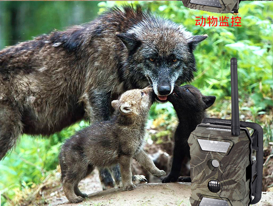 未标�?1_04.jpg