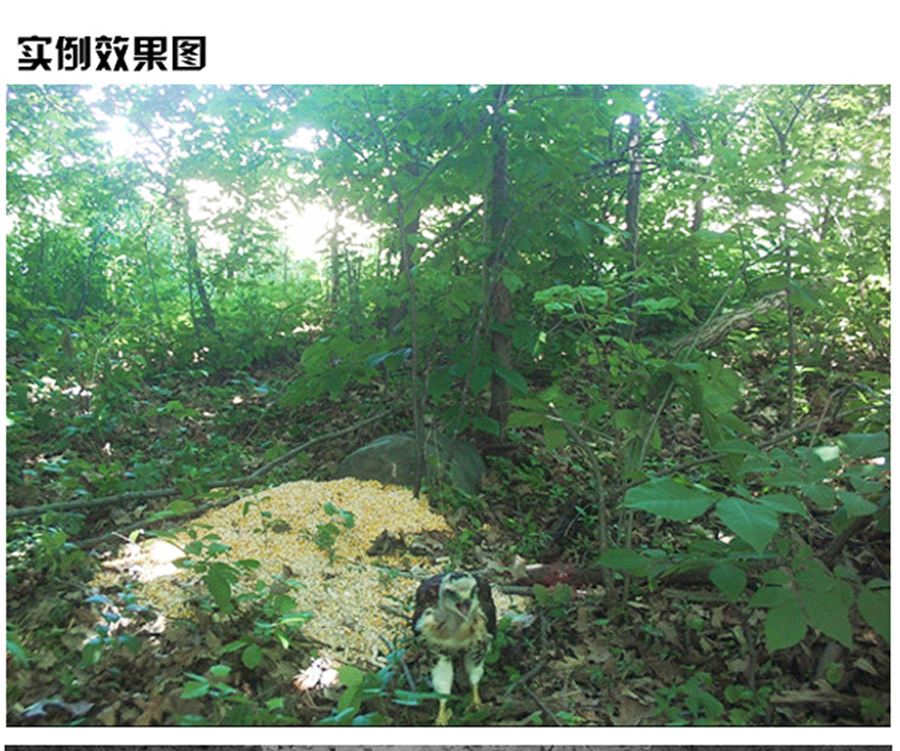 未标�?1_16.jpg