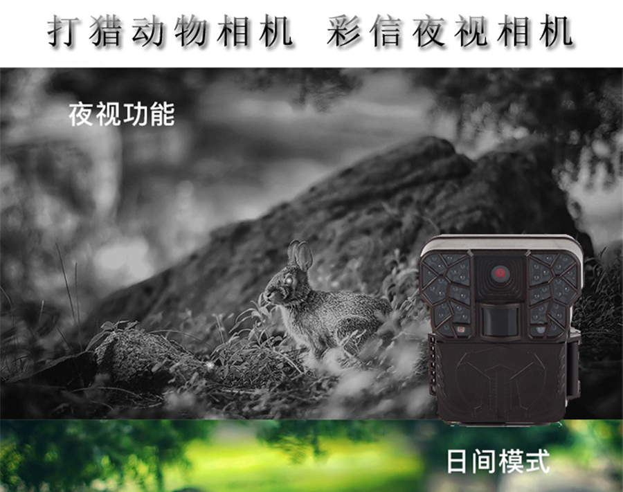 未标�?1_01.jpg