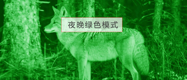 03.jpg
