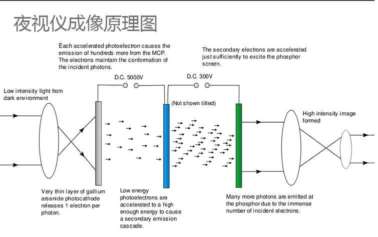 QQ图片20150616151123_副本.png